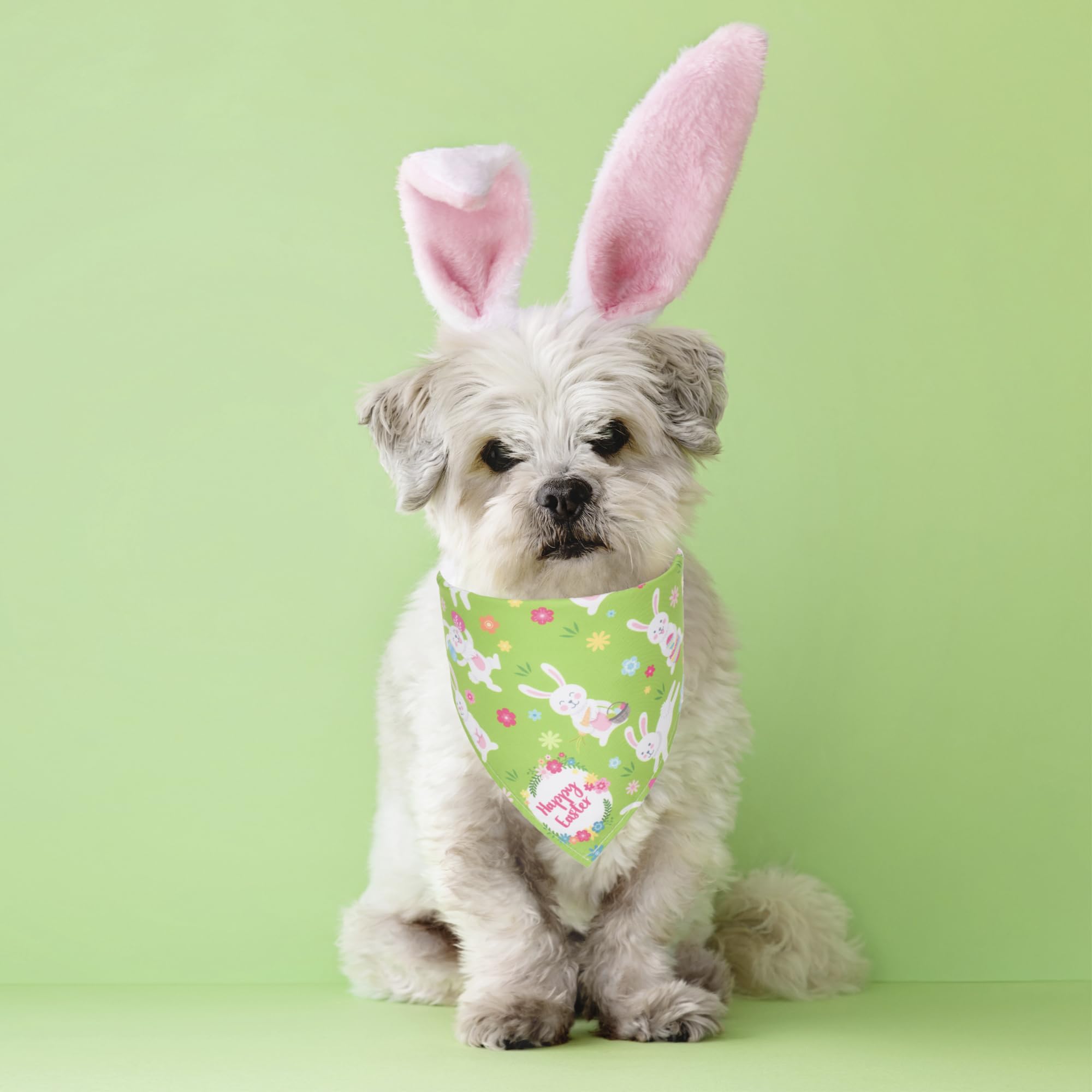 ADOGGYGO Easter egg-pattern bandana brightens photoshoots and family gatherings.