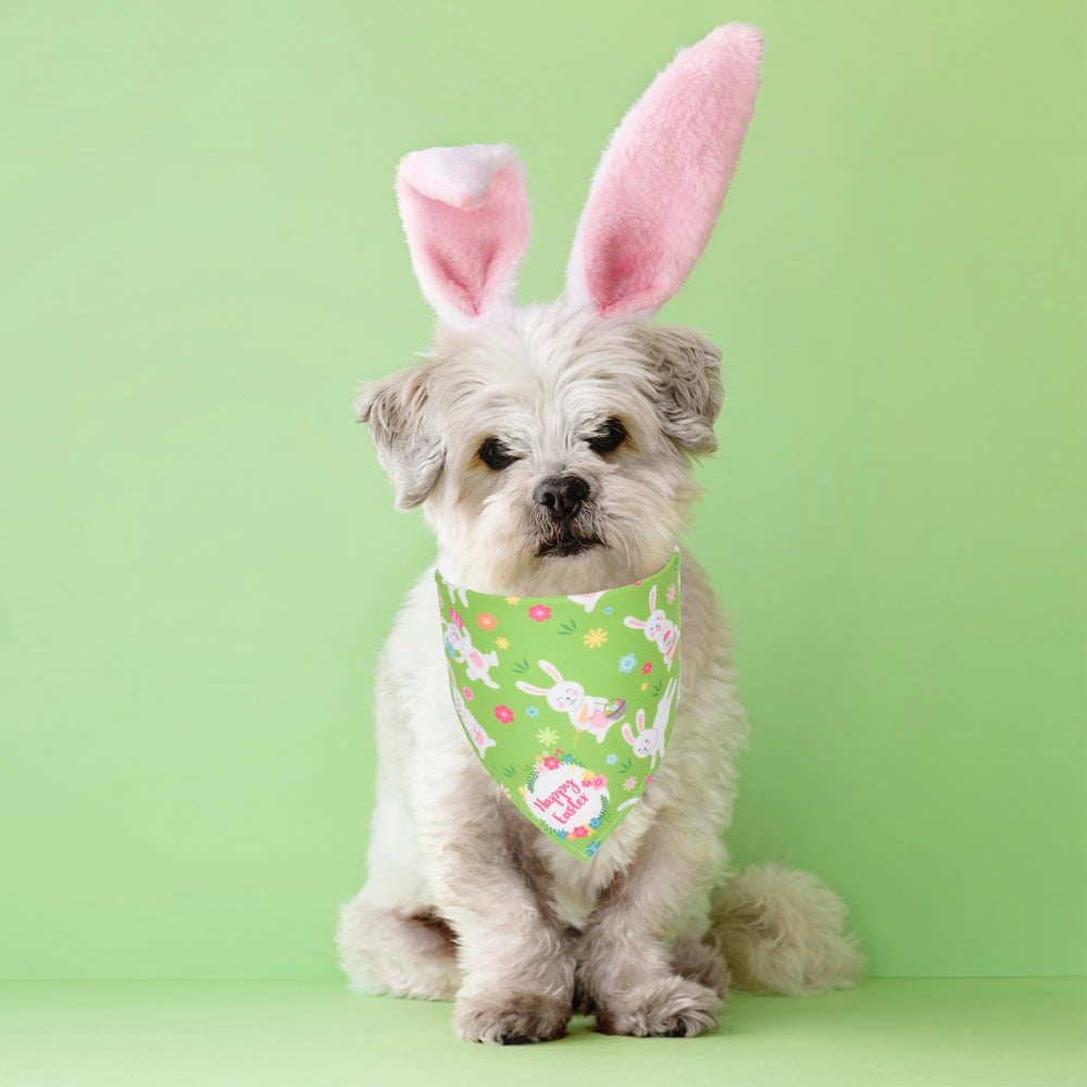 ADOGGYGO Easter egg-pattern bandana brightens photoshoots and family gatherings.