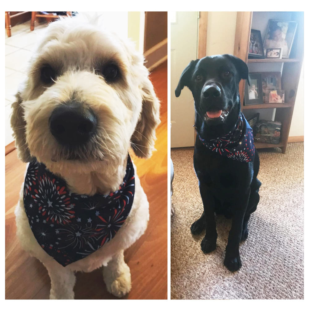 ADOGGYGO fireworks bandana on a dog for a festive Independence Day outfit