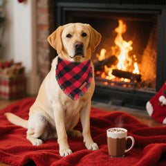 ADOGGYGO green plaid Christmas bandana tassels enhances holiday celebration and pet cuteness.