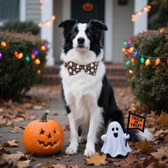 ADOGGYGO detachable bowtie offers quick Halloween styling