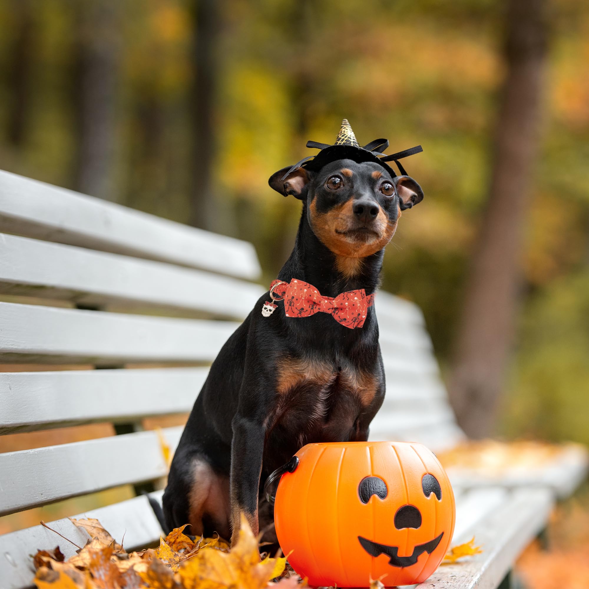 ADOGGYGO skeleton-pattern collar with orange bowtie, adjustable size for small to large dogs.