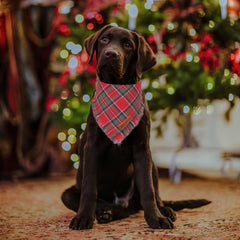 ADOGGYGO plaid dog bandana close-up showing durable stitching for lasting wear.