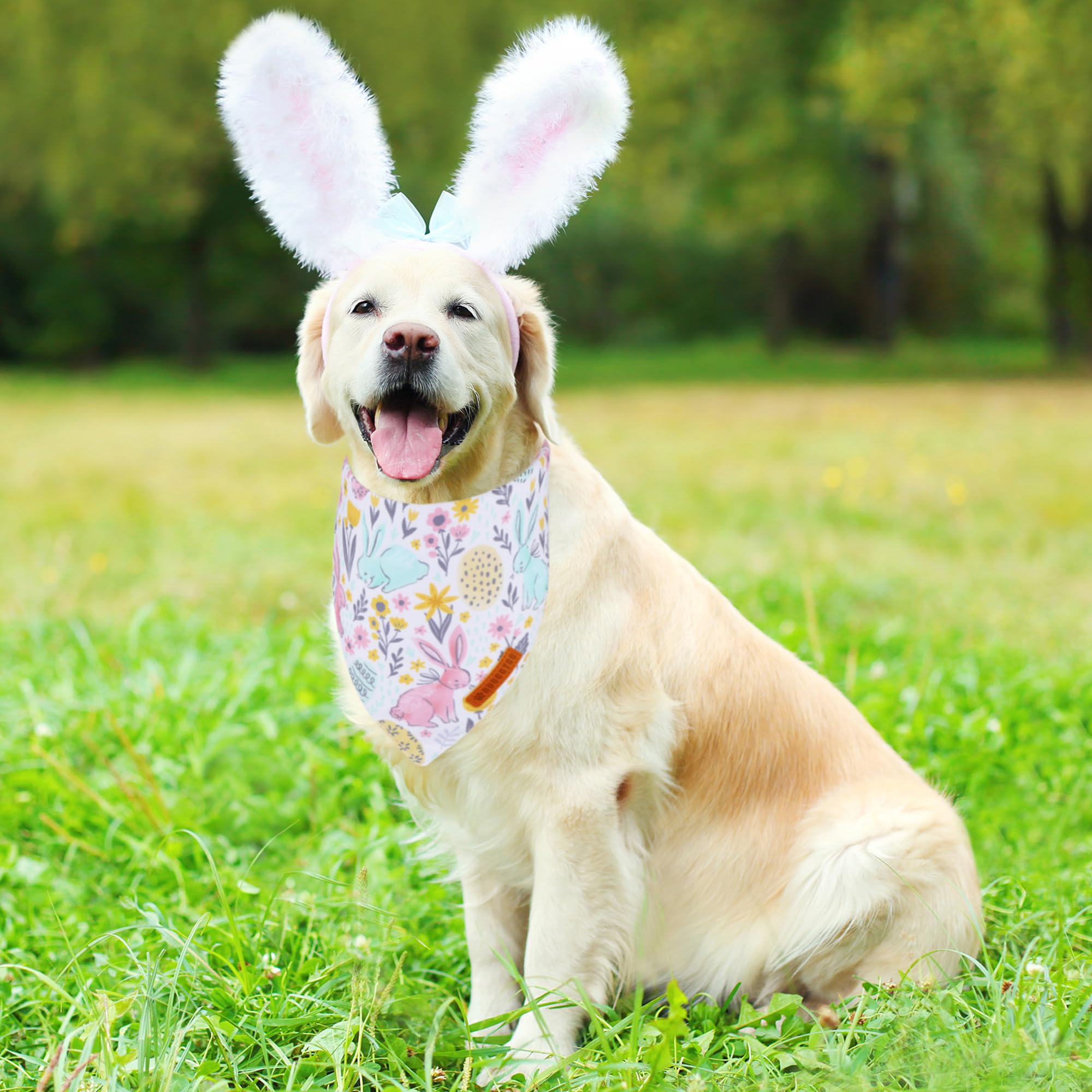 ADOGGYGO premium polyester bandana offers soft feel and durable everyday wear.