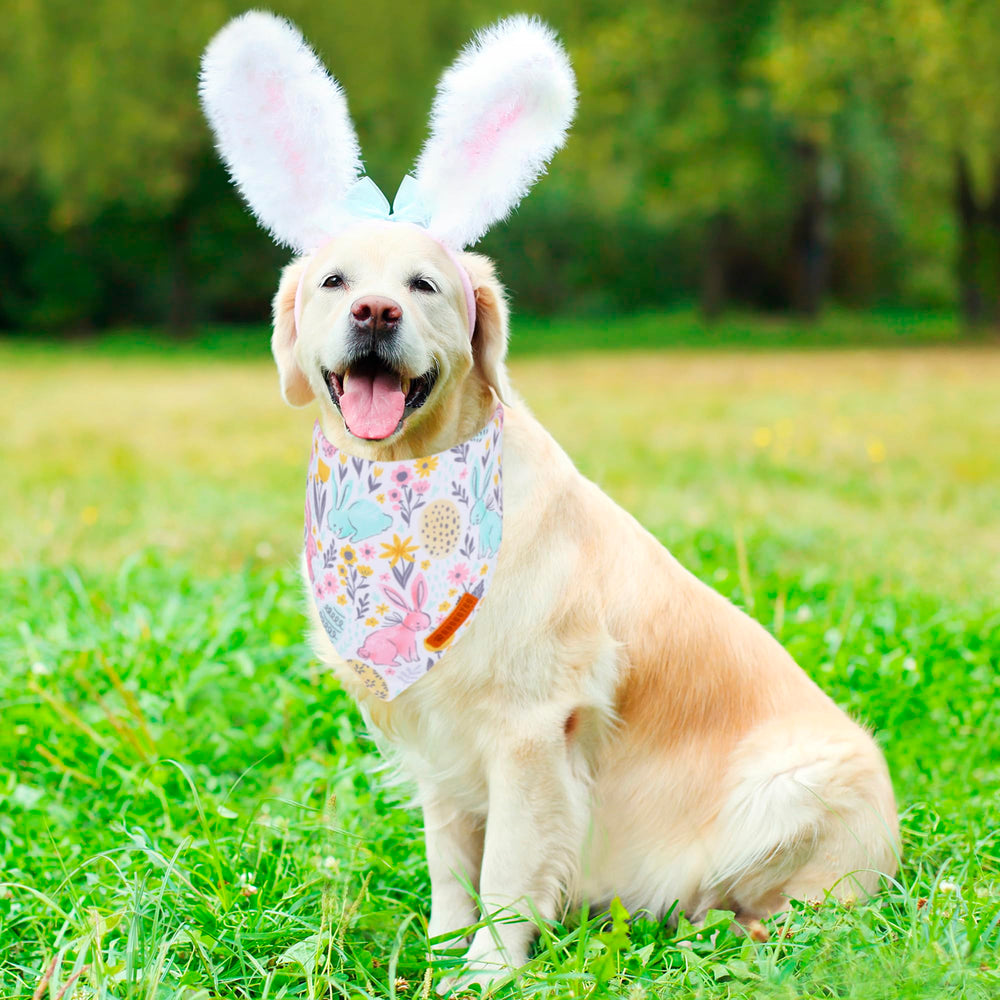 ADOGGYGO premium polyester bandana offers soft feel and durable everyday wear.