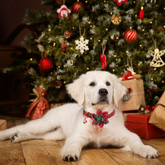 Removable floral attachment on ADOGGYGO collar enables versatile styling and quick looks.