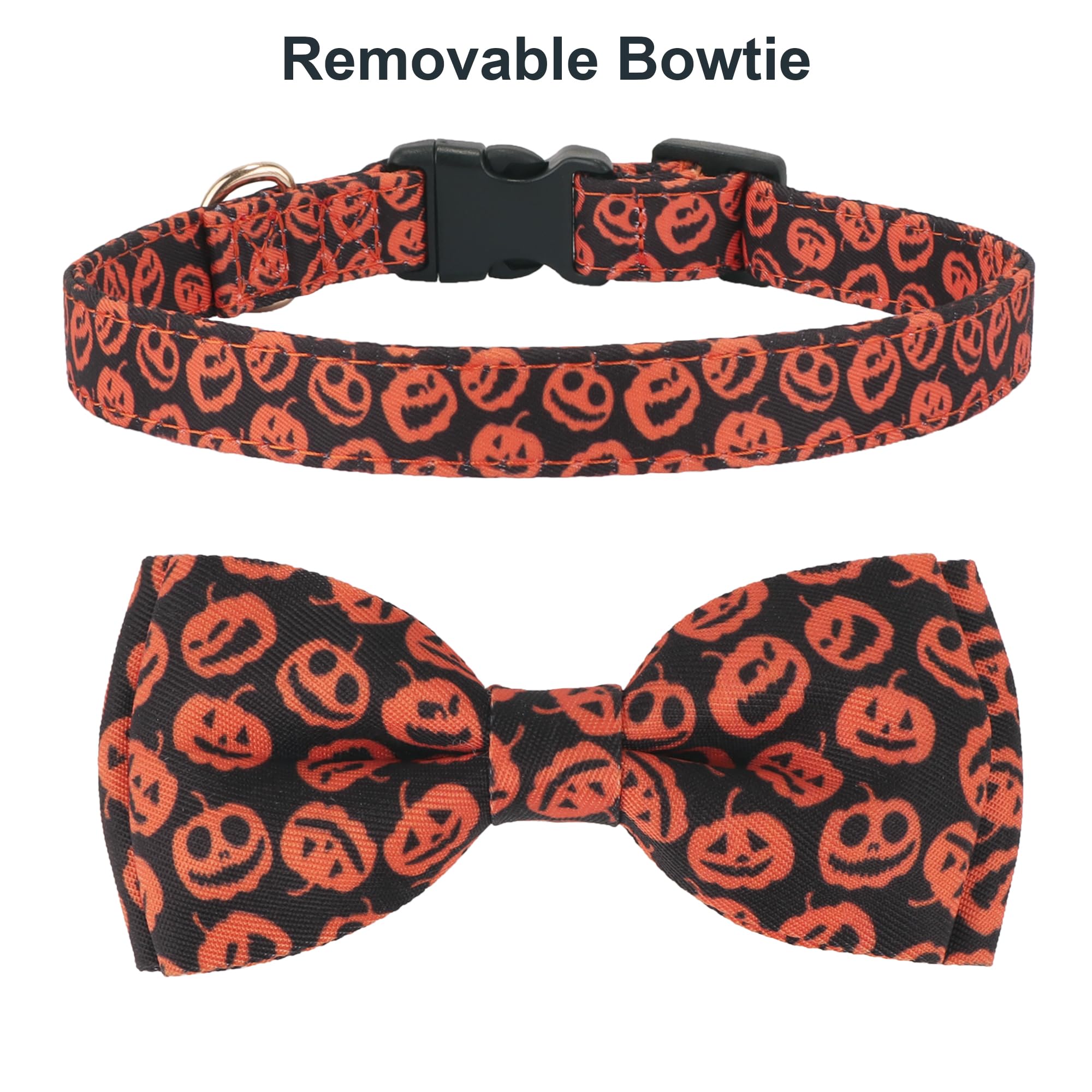 ADOGGYGO buckle and stainless D-rings ensure safe leash attachment during Halloween outings.