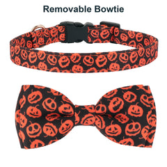 ADOGGYGO buckle and stainless D-rings ensure safe leash attachment during Halloween outings.