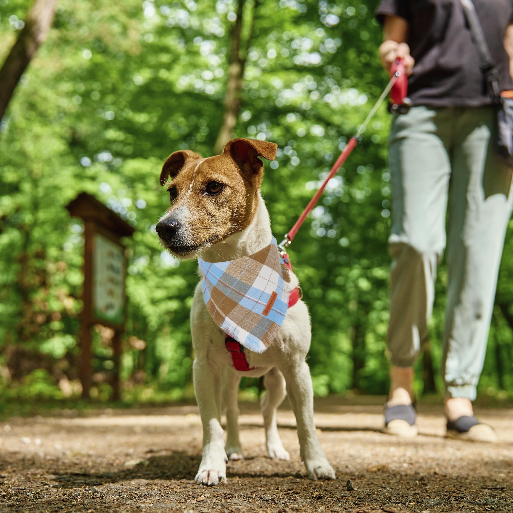 ADOGGYGO soft cotton bandana delivers comfortable wear and easy care.