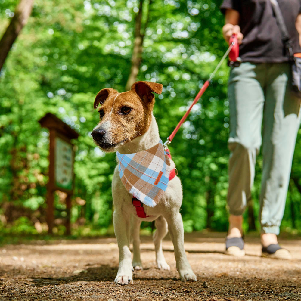 ADOGGYGO soft cotton bandana delivers comfortable wear and easy care.