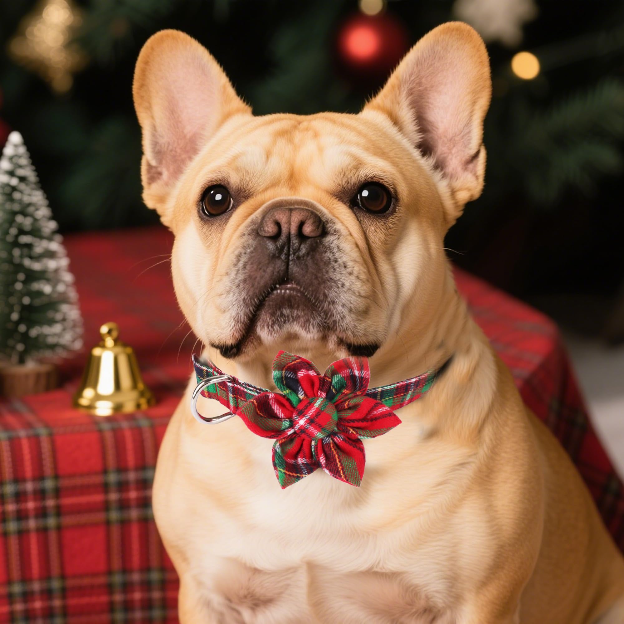 ADOGGYGO soft cotton dog collar for comfortable daily wear