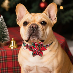 ADOGGYGO soft cotton dog collar for comfortable daily wear
