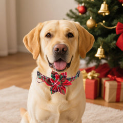 ADOGGYGO soft cotton collar for comfortable daily wear