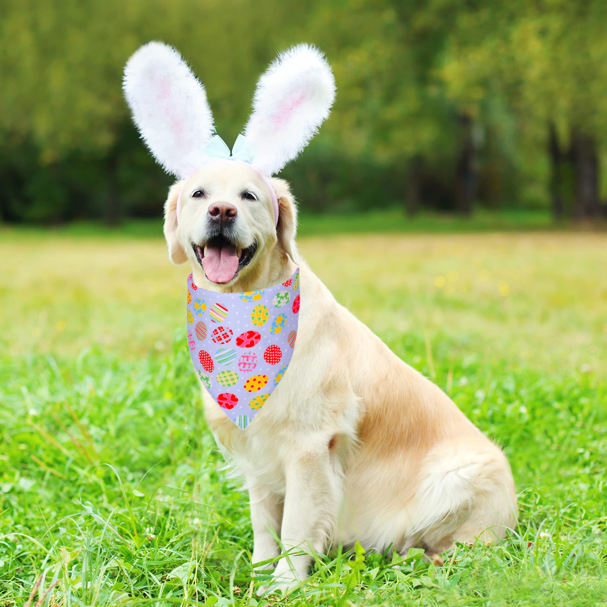 ADOGGYGO soft polyester bandana provides breathable comfort during outdoor walks.
