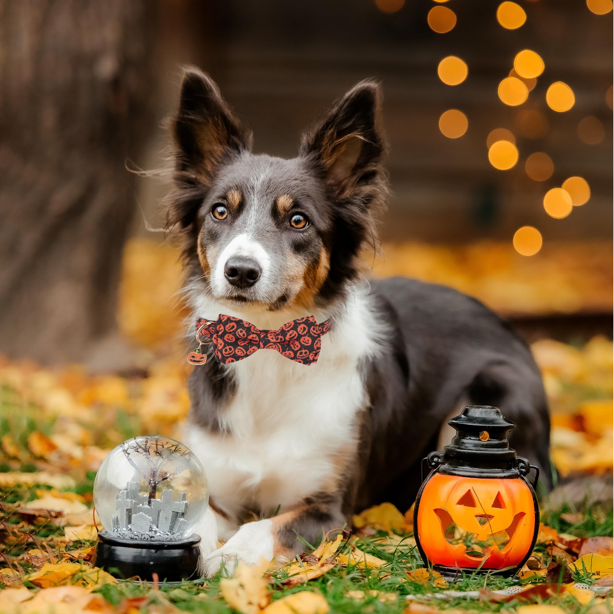 ADOGGYGO soft polyester collar, removable bowtie, easy on/off for quick costume changes.