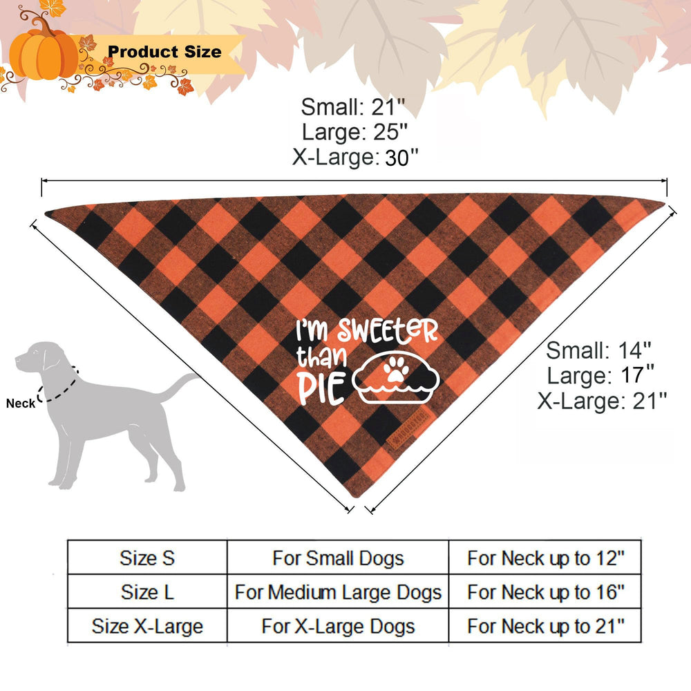 ADOGGYGO dog photoshoot setup image with bandana, enhancing autumn-themed portraits.