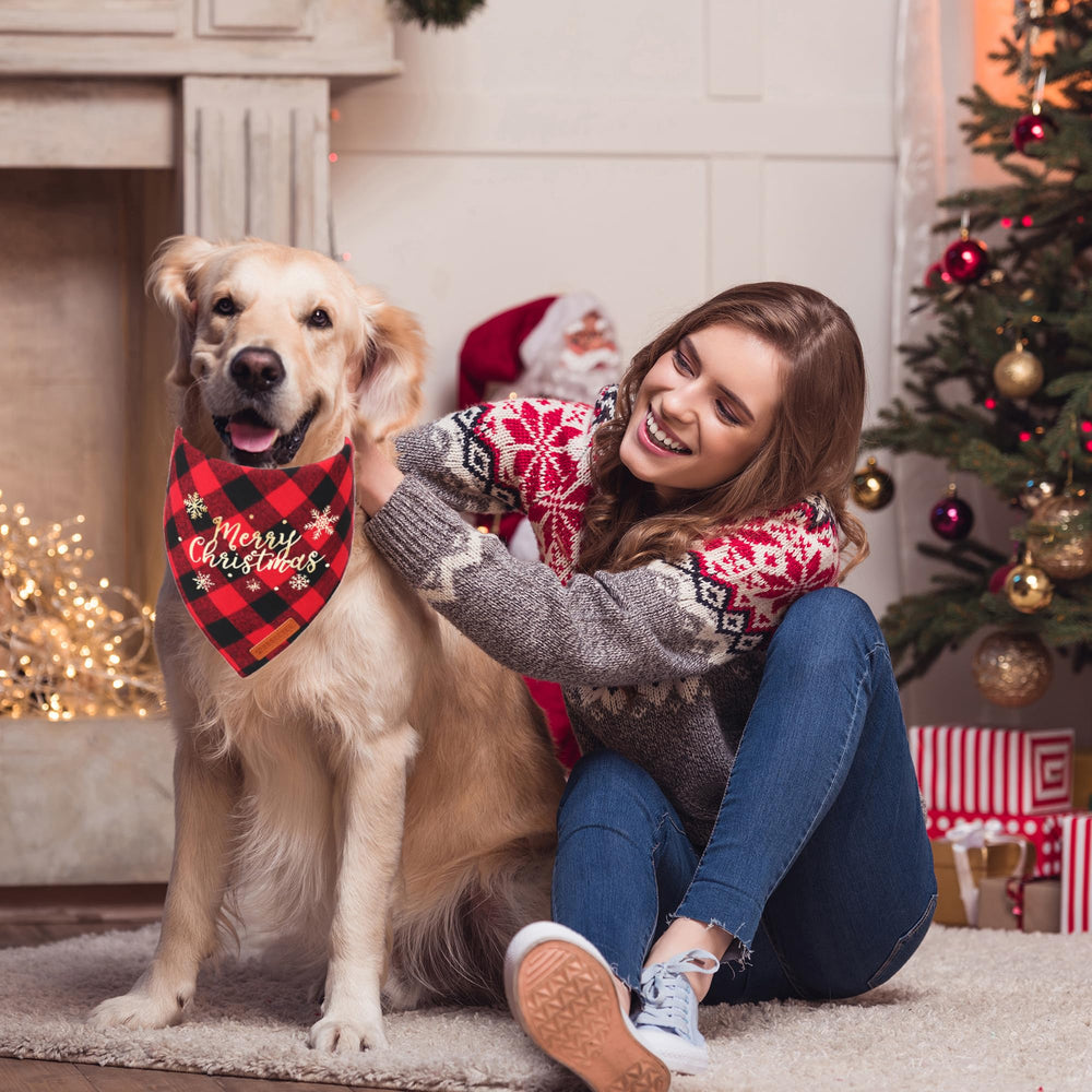 ADOGGYGO two-pack dog bandanas versatile for daily wear and special occasions.