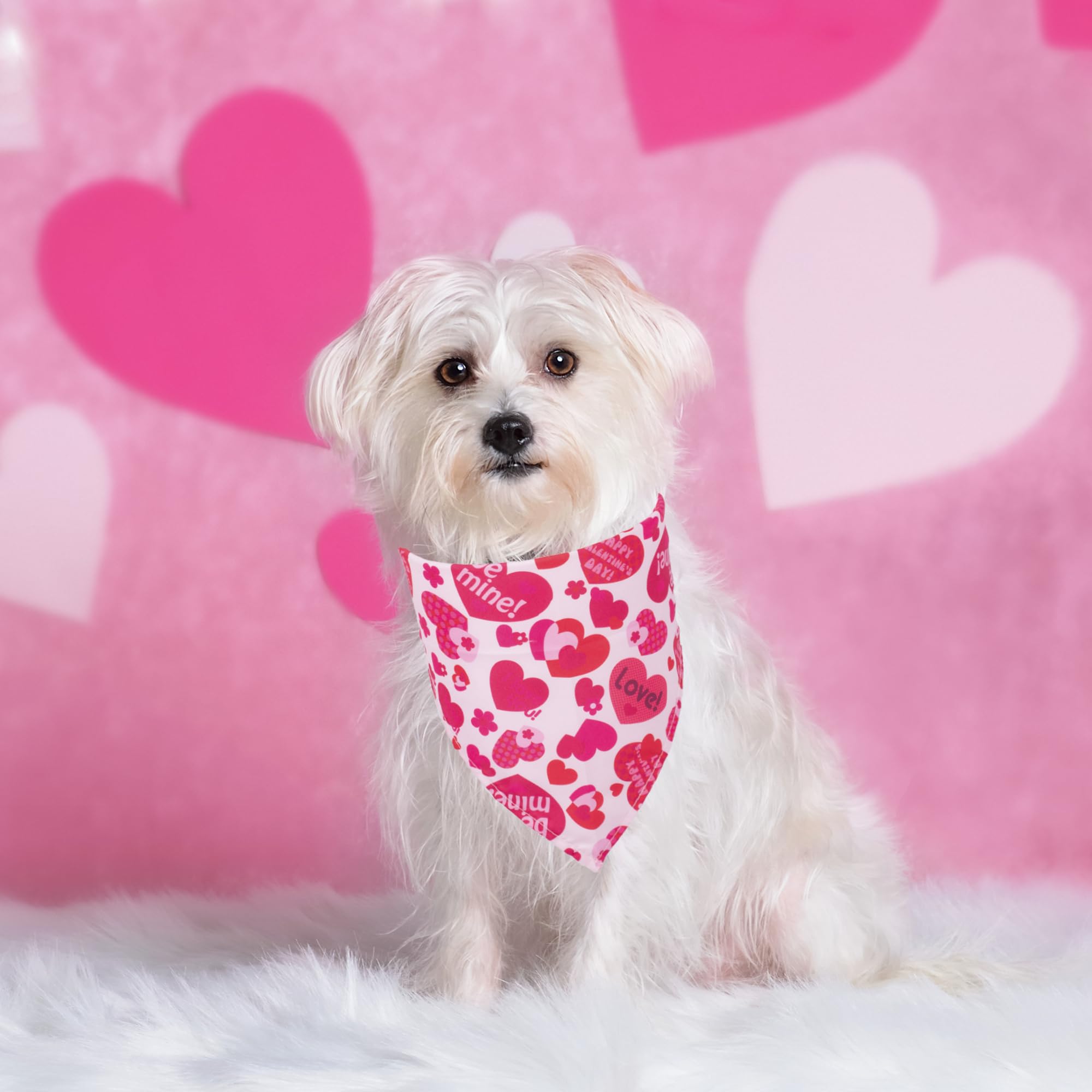 ADOGGYGO Valentine bandana closeup shows soft, breathable fabric for comfortable wear