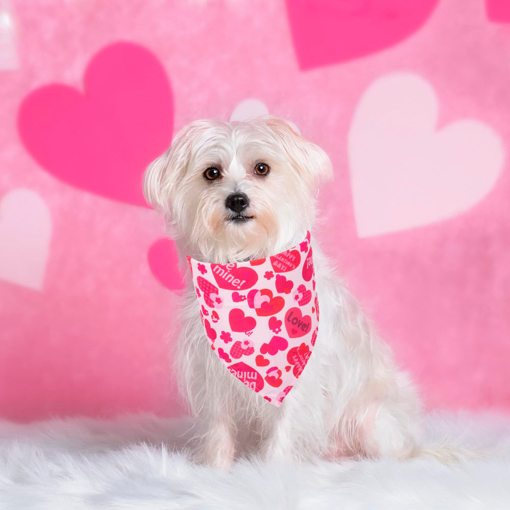 ADOGGYGO Valentine bandana closeup shows soft, breathable fabric for comfortable wear