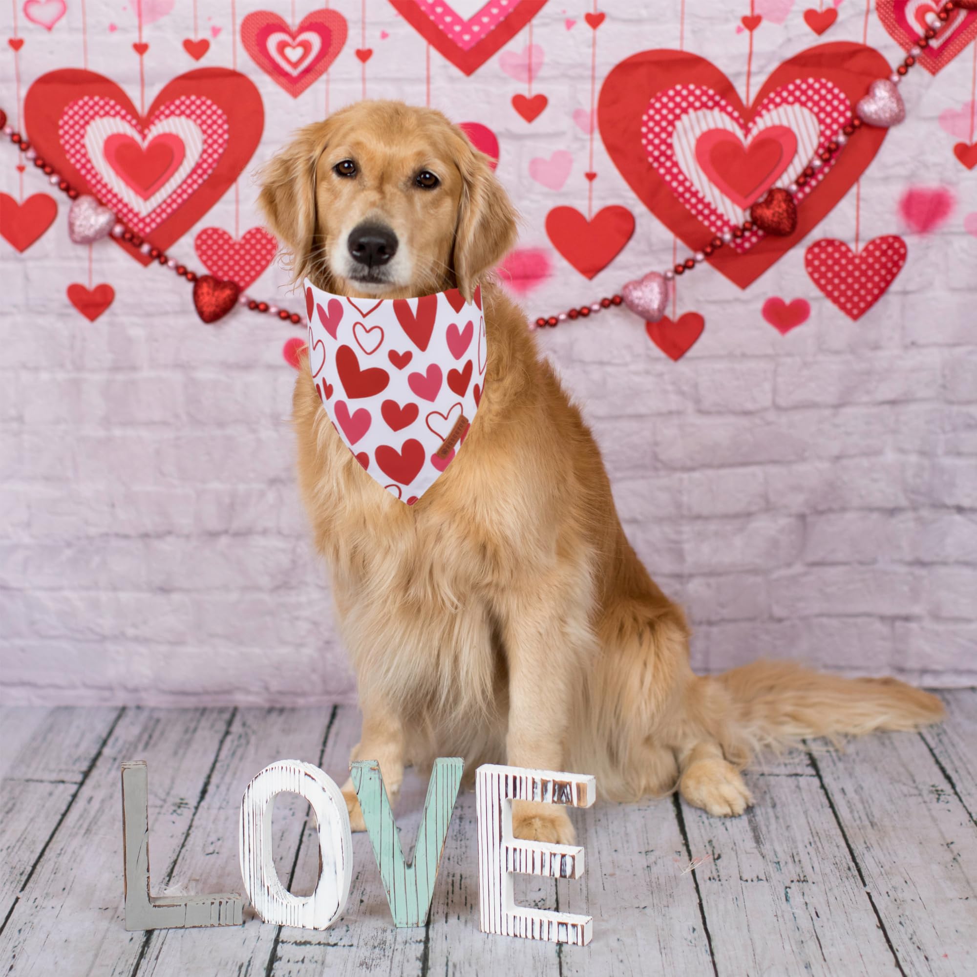ADOGGYGO Valentine bandana on neck close-up, soft polyester for comfort