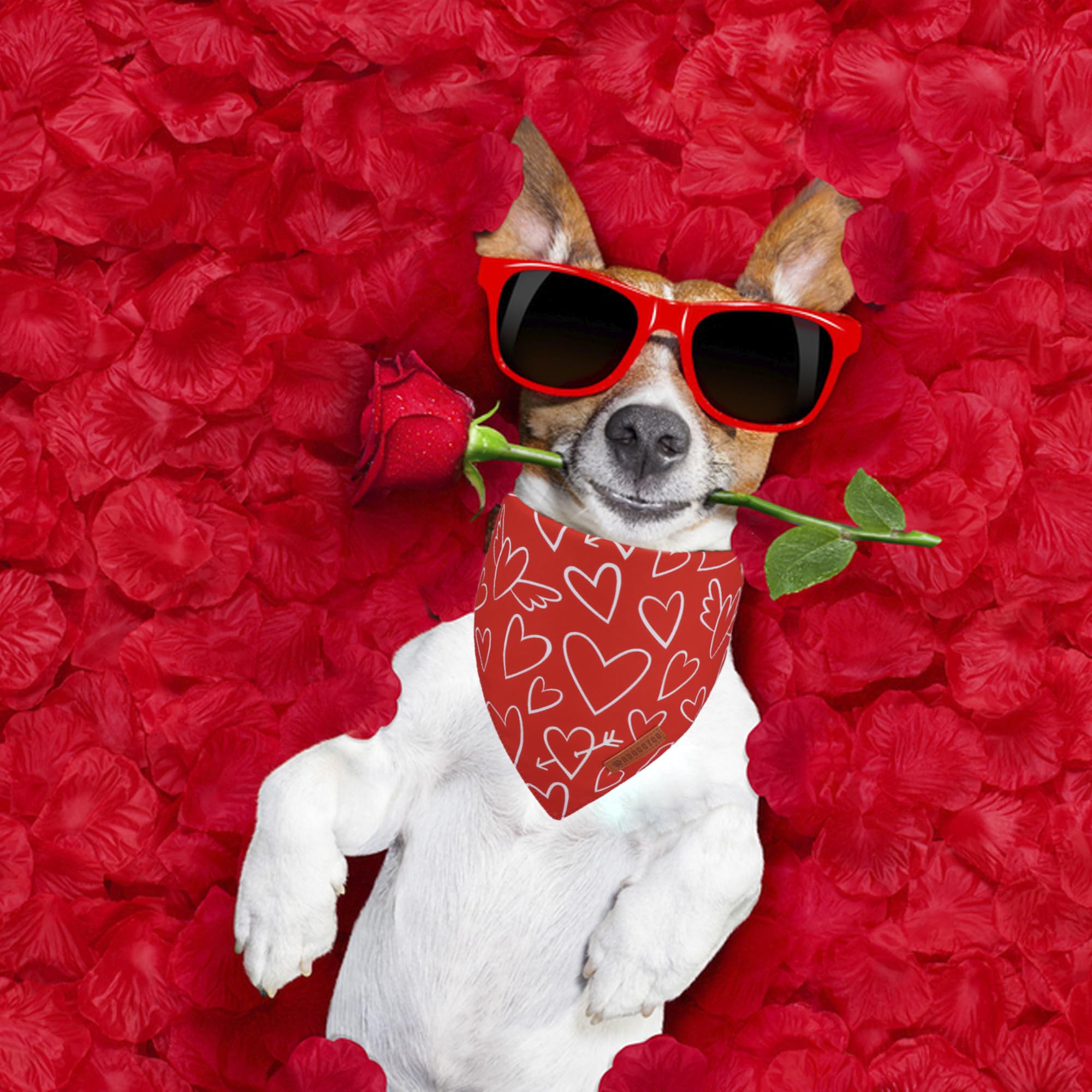 ADOGGYGO white heart bandana on dog, perfect for festive occasions