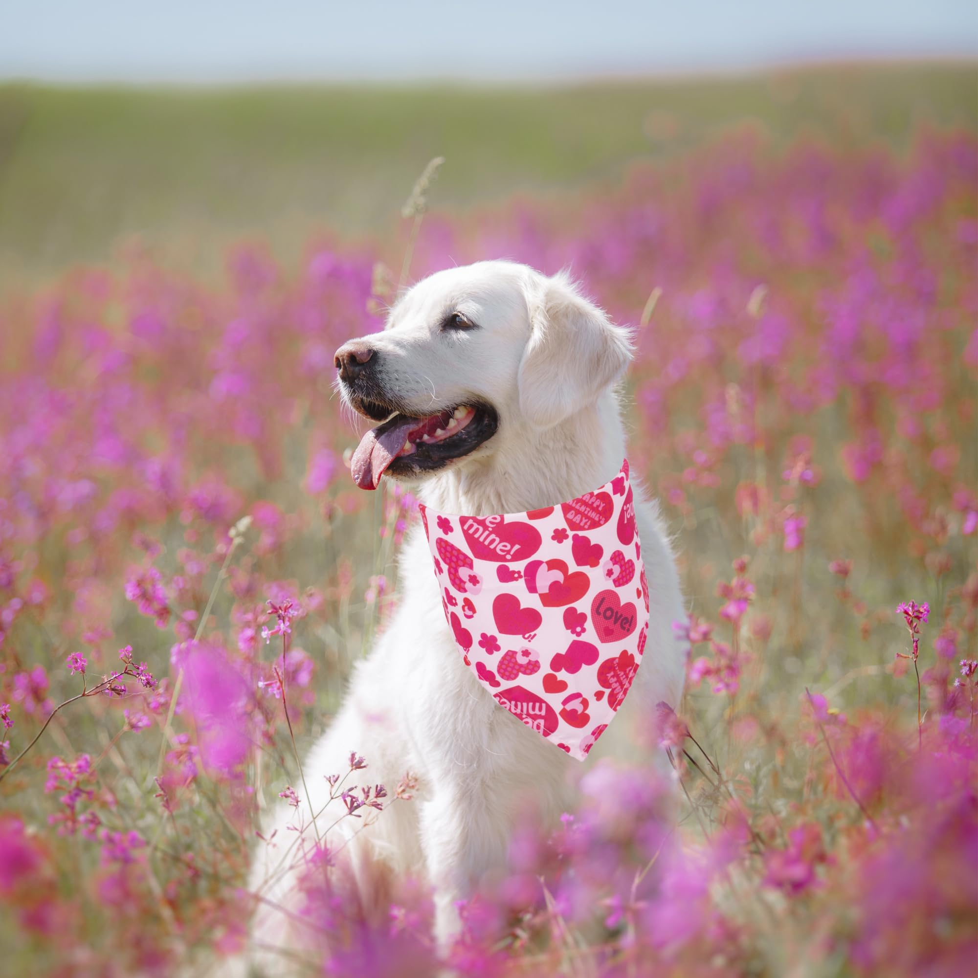 ADOGGYGO Valentine bandana close-up showing lip print design and cute accessory appeal