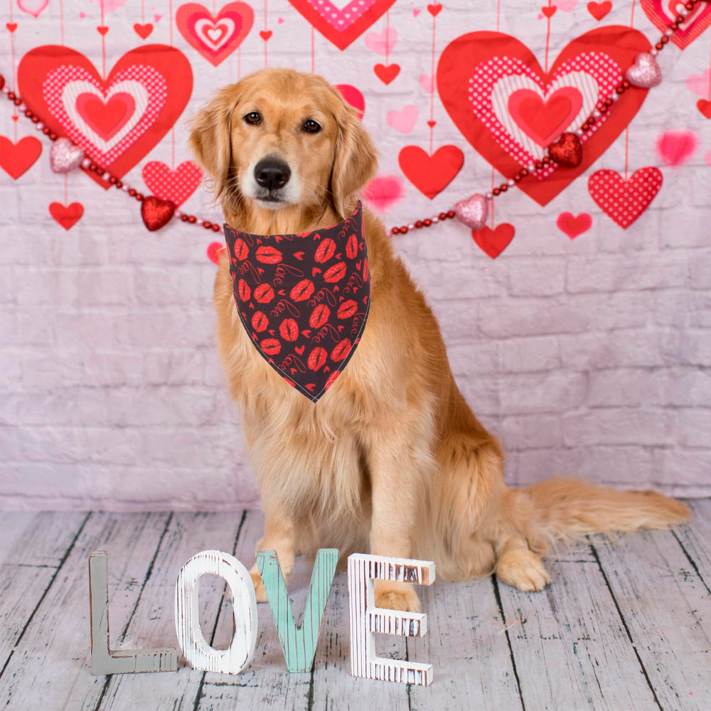 ADOGGYGO X-Large dog bandana worn setup for comfortable large dog styling