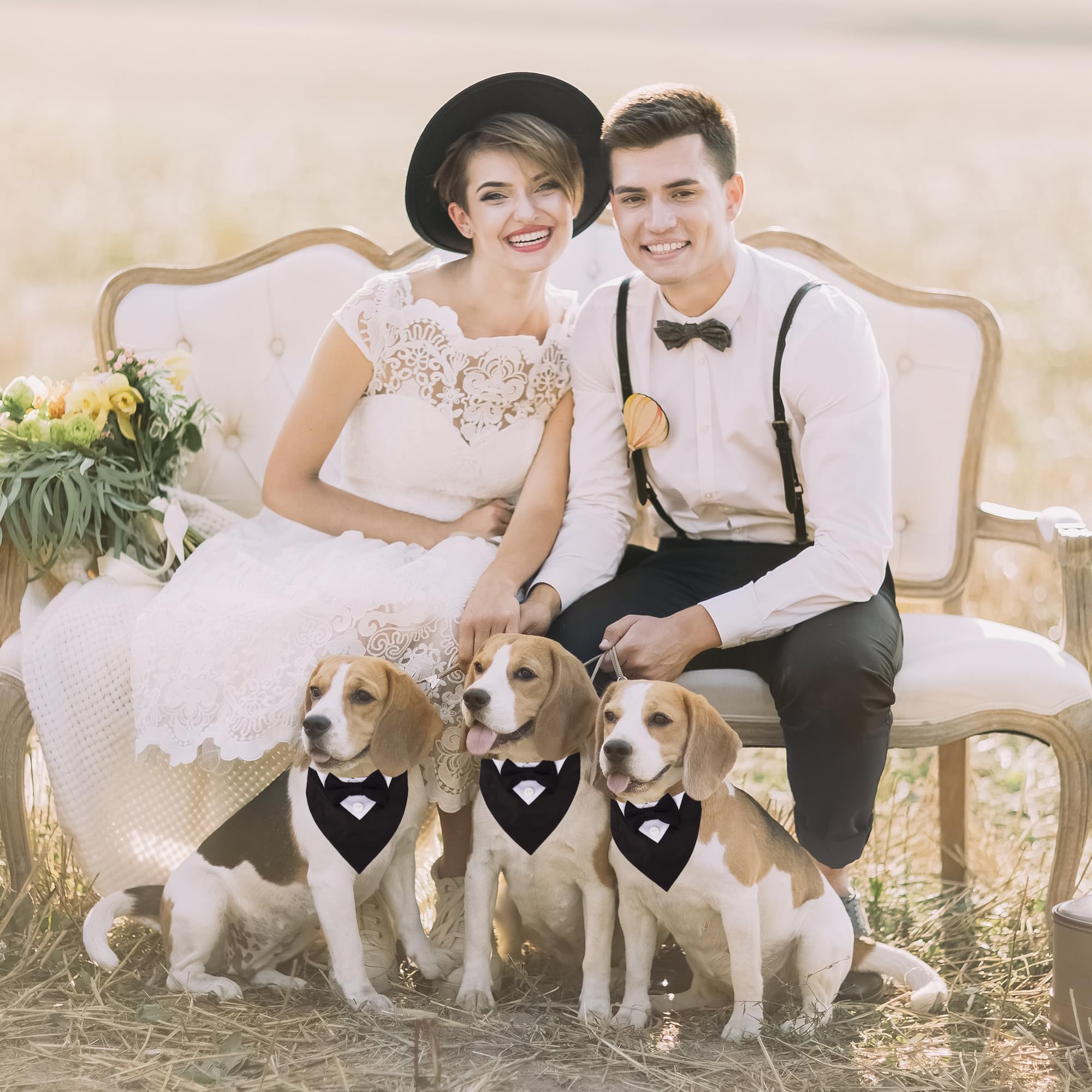 ADOGGYGO wedding collar bandana in black worn during a festive event
