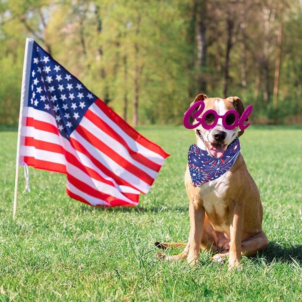 ADOGGYGO X-Large dog bandana fits up to 22-inch necks, festive and comfortable