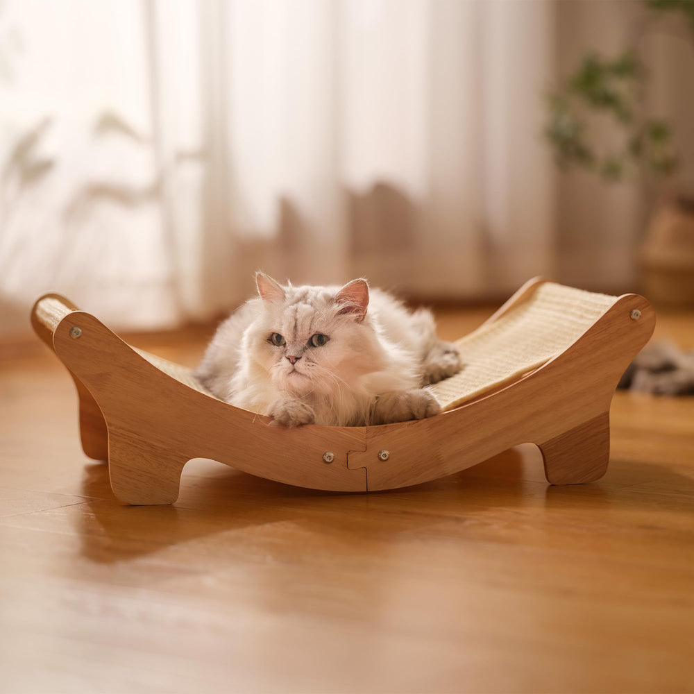 Adolug cat hammock bed provides cozy lounging after play.