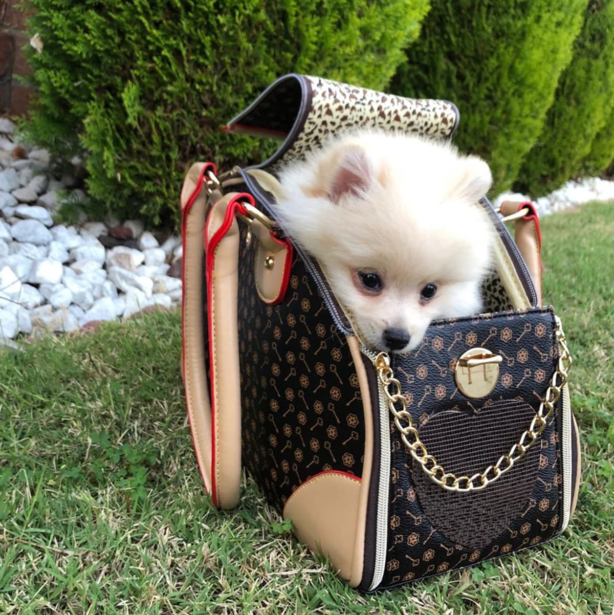 Adriene's Choice luxury pet carrier side pocket view highlights convenient storage