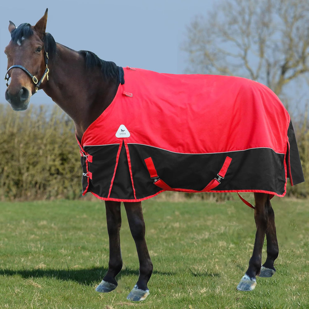 Adsuan horse turnout blanket quick buckle closure for secure fit.