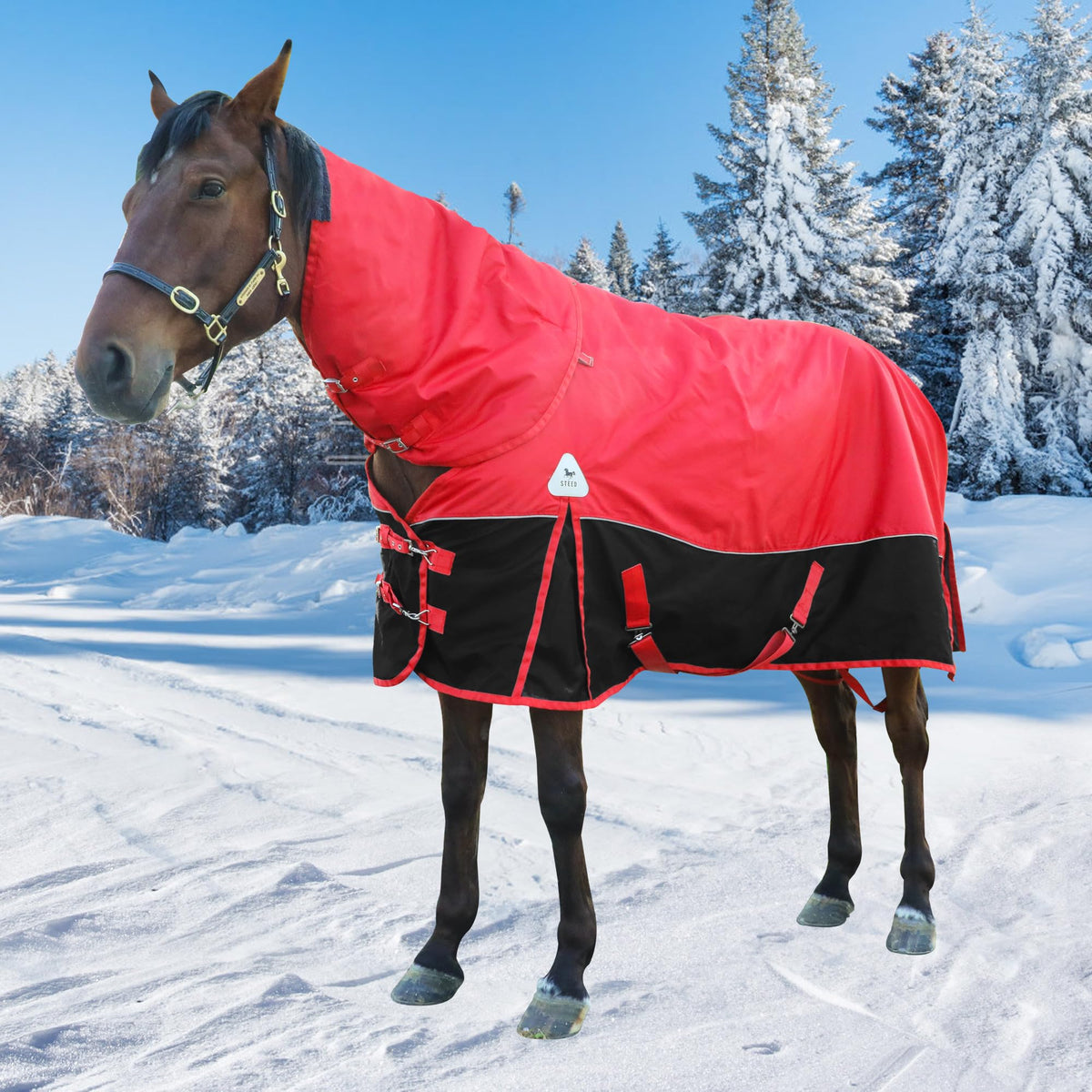 Adsuan horse blanket winter waterproof shell keeps a horse dry and comfortable in snow