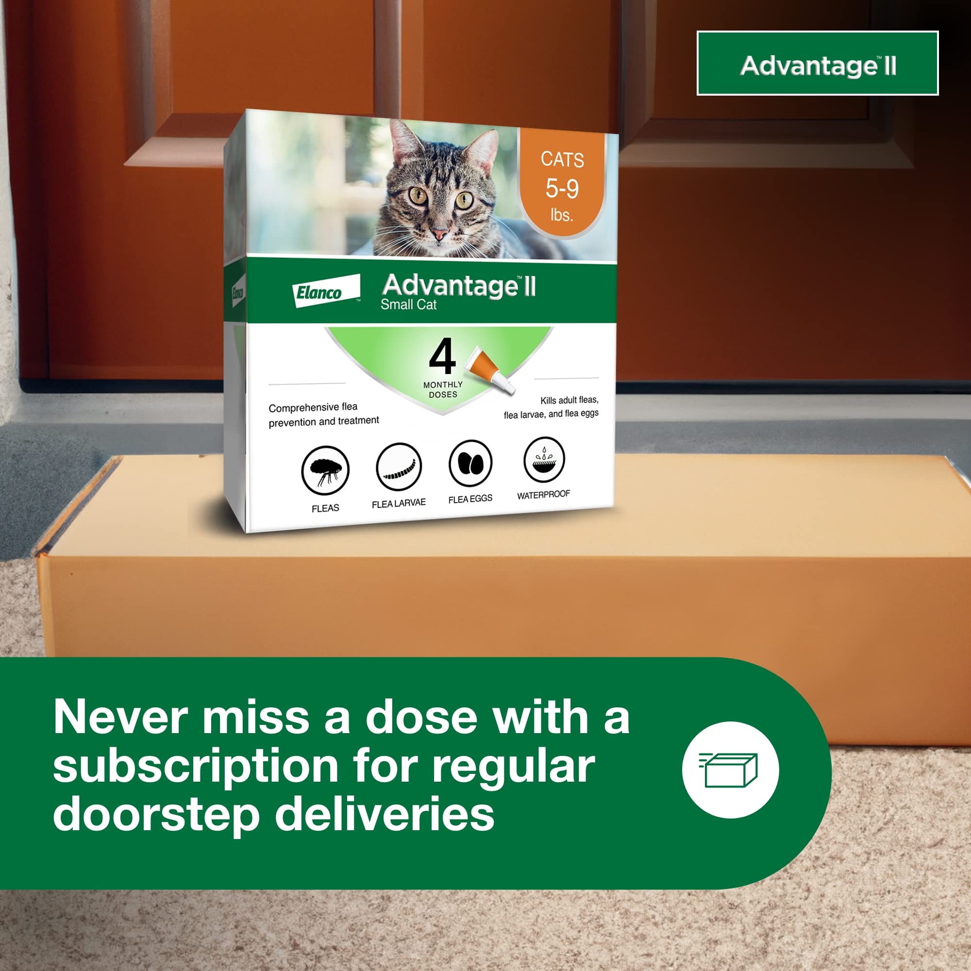Advantage II Small Cat-indoor-outdoor-use shows versatile protection for any cat lifestyle.