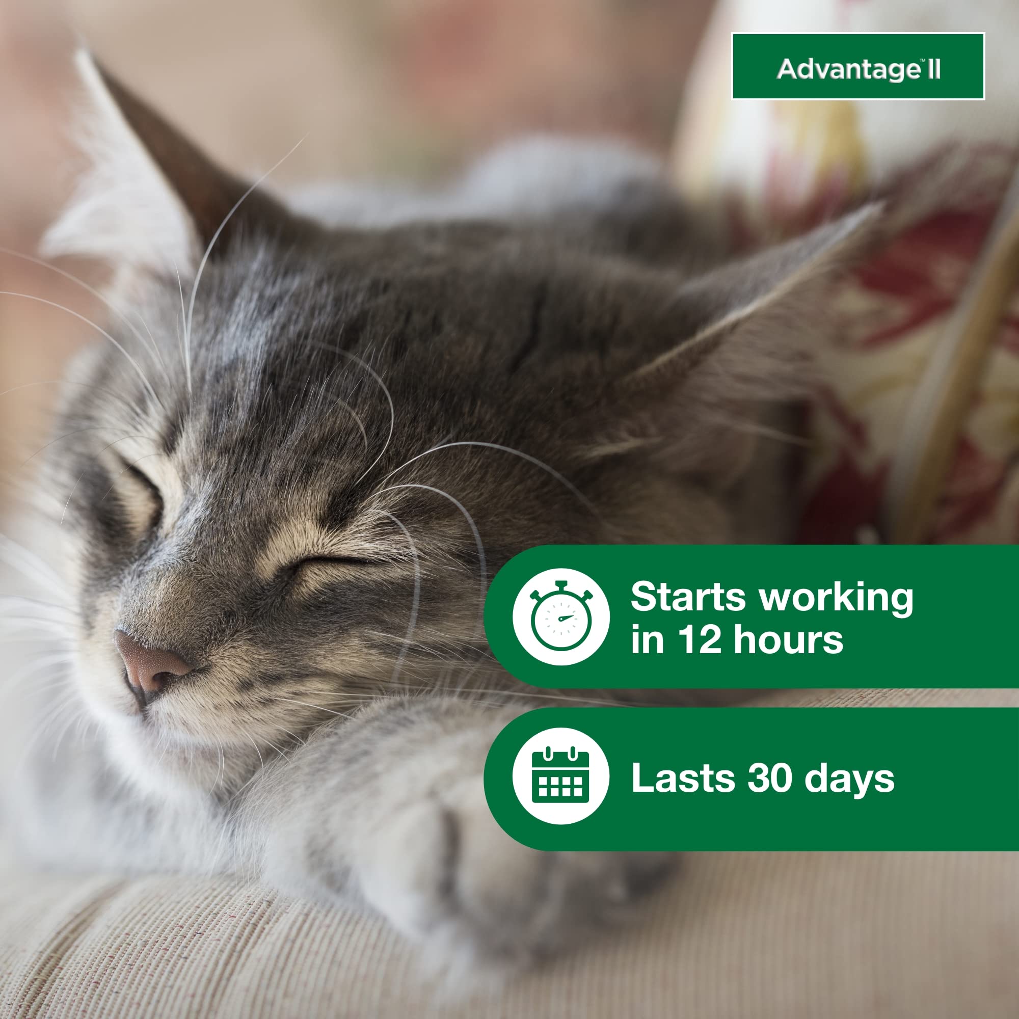 Advantage II Small Cat-waterproof-24-hours illustrates durable protection after first day.