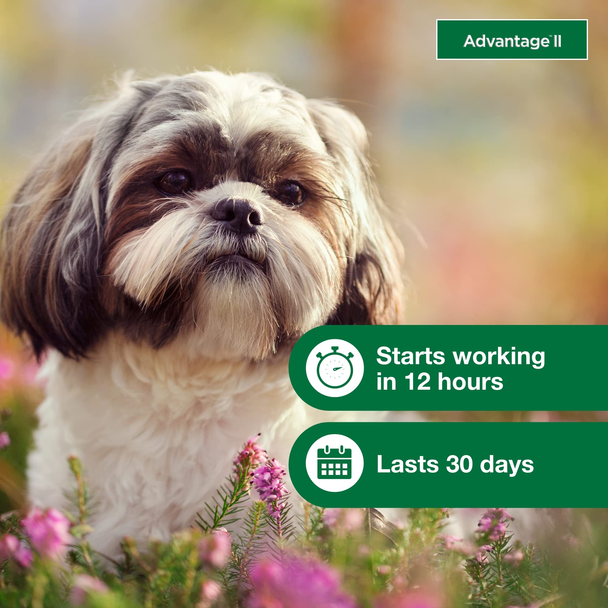 Advantage II Small Dog suitable for indoor and outdoor dogs in daily routine