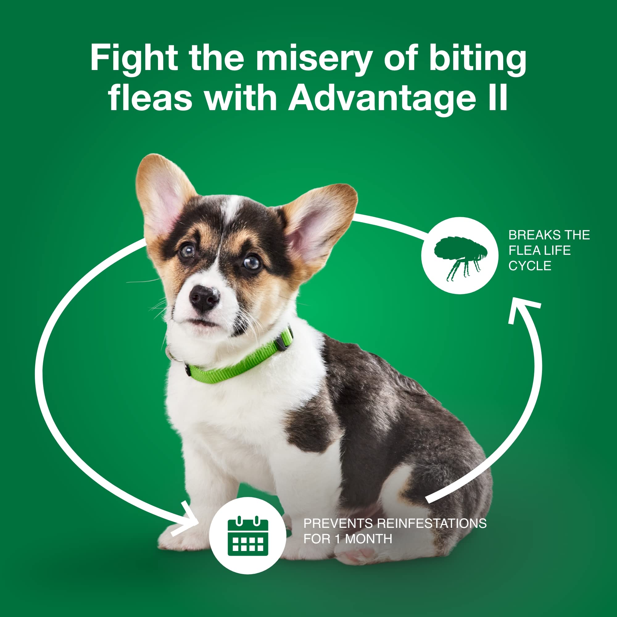 Advantage II Small Dog 3-10 lbs perfect for small breed care