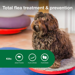 Advantage II Small Dog shows 30-day protection against fleas and eggs