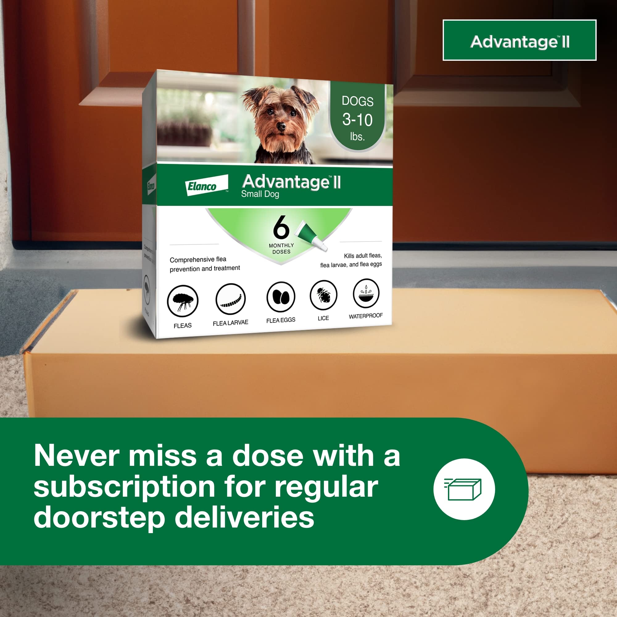 Advantage II Small Dog subscription delivery to keep up with monthly treatment