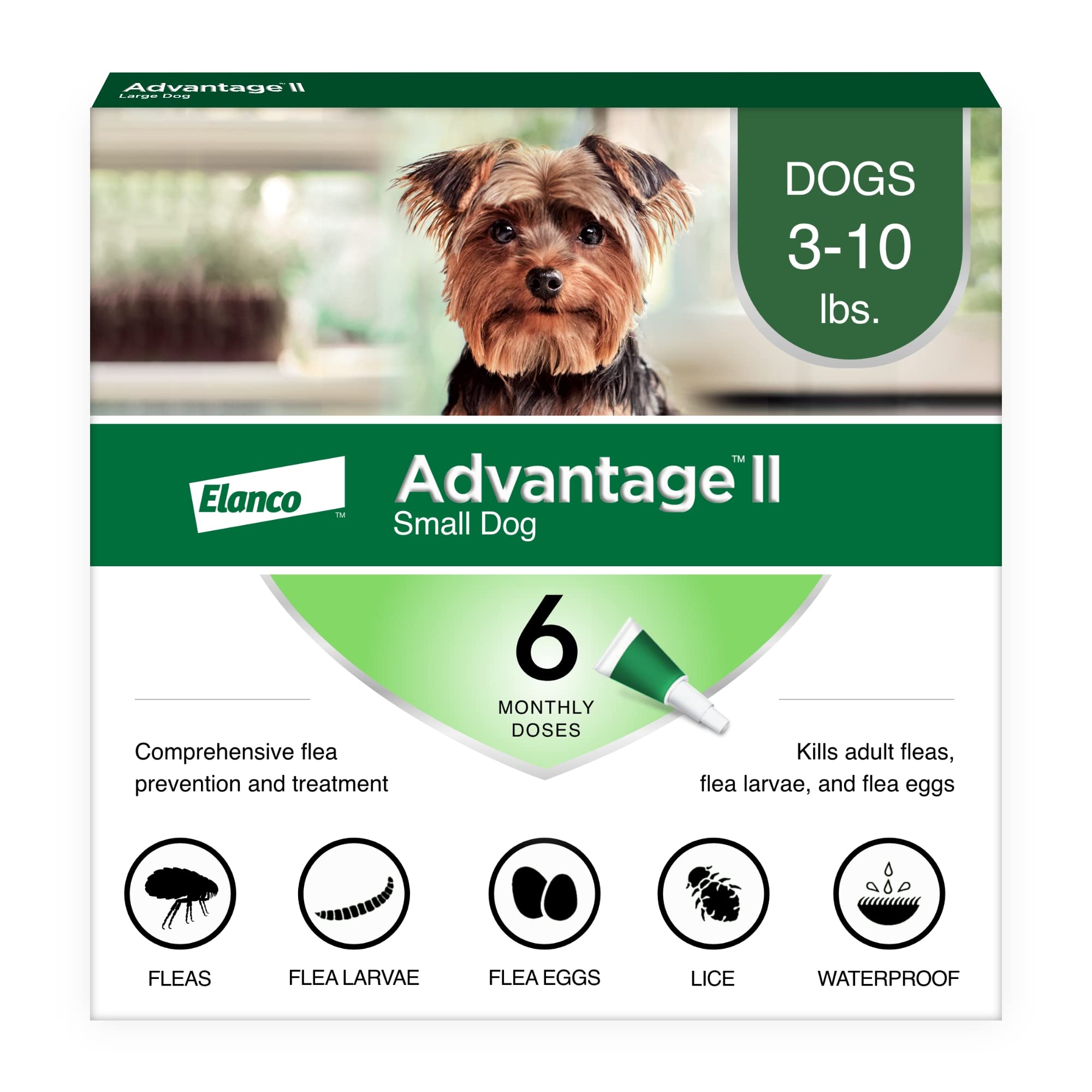Advantage II Small Dog tube-application demonstrates quick flea treatment after use