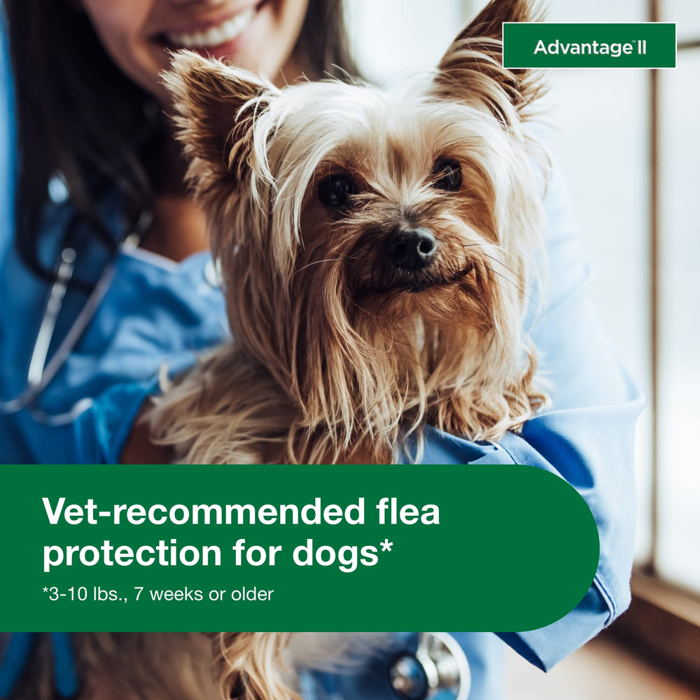 Advantage II Small Dog remains fragrance-free and waterproof after 24 hours