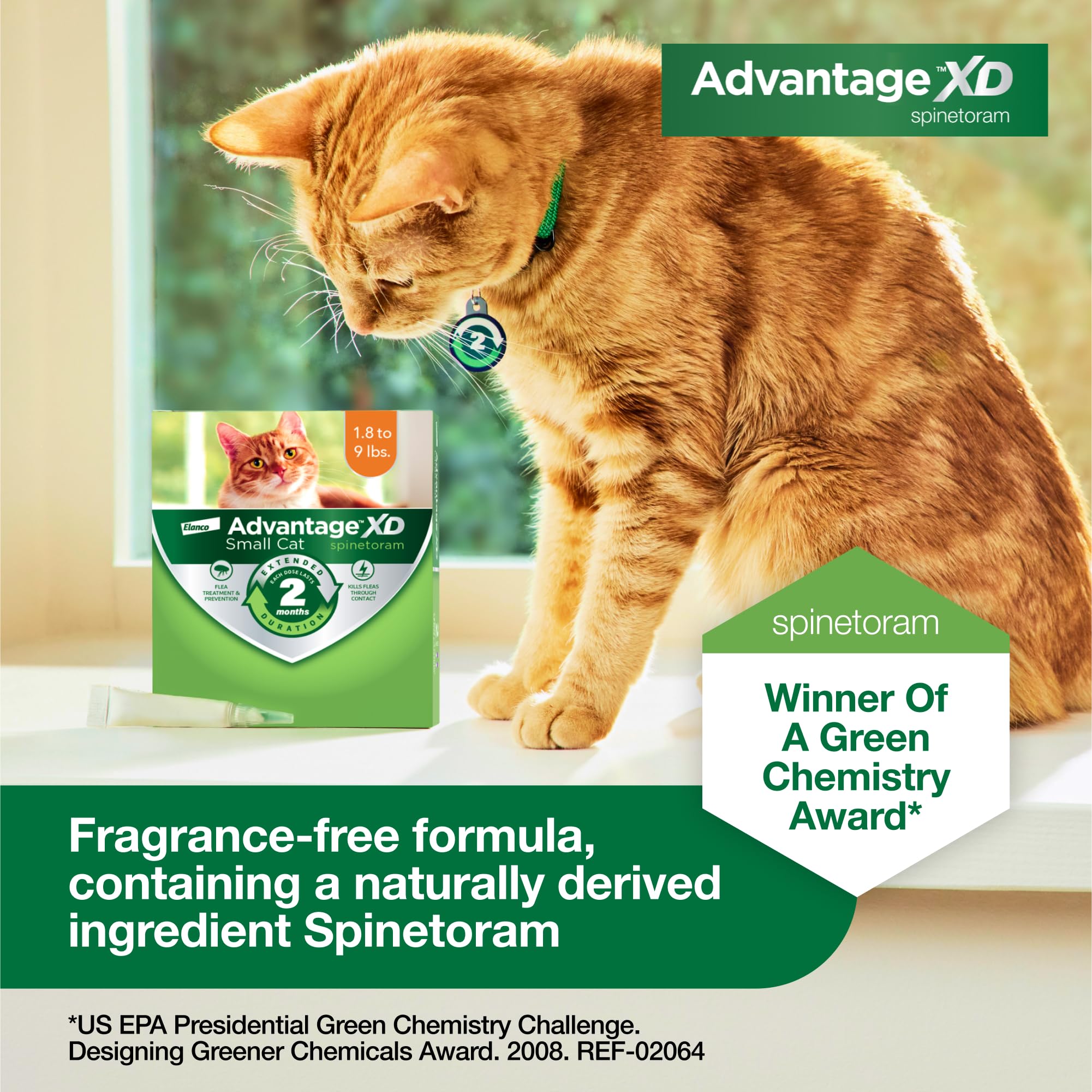 Indoor and outdoor cats receive extended protection with Advantage XD.