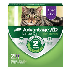 Advantage XD large-cat flea treatment pack showing extended protection for cats over 9 lbs.