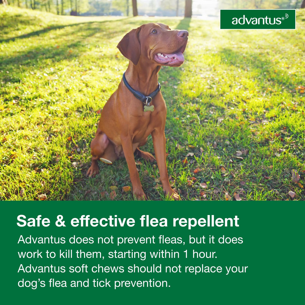 Advantus packaging notes use for dogs 10 weeks and older.