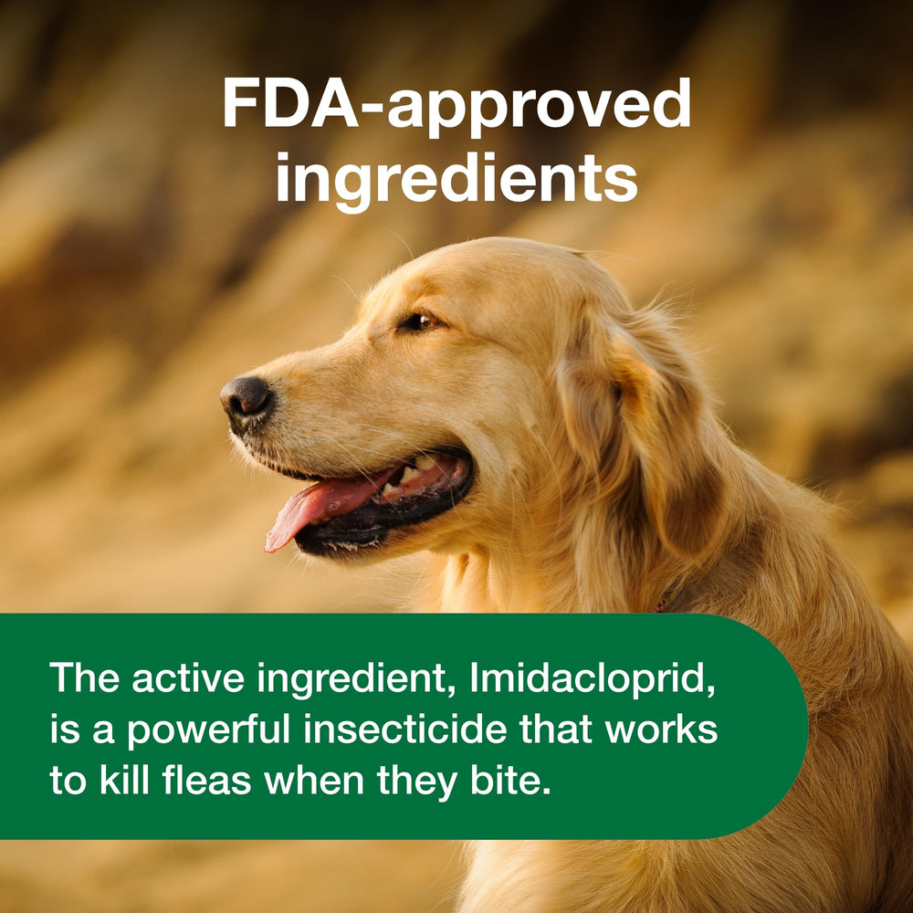Advantus logo on packaging reinforces trusted flea treatment.