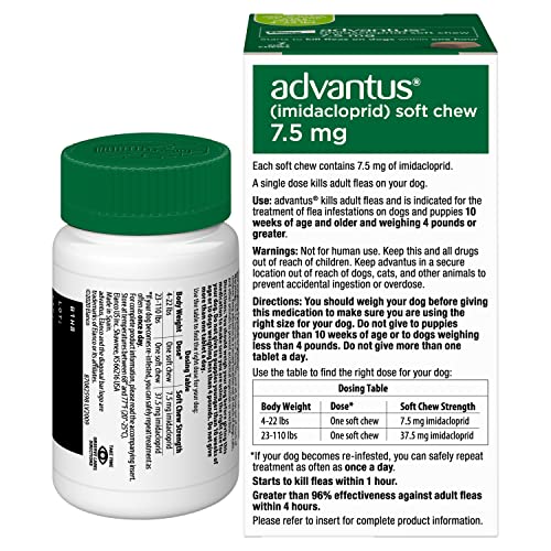 Advantus dog chews in bowl illustrate easy administration for flea treatment.