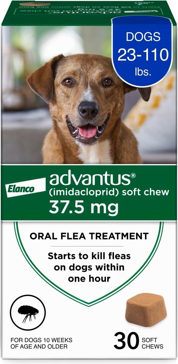 Advantus dog fast-acting chews bottle shows quick flea relief within one hour.