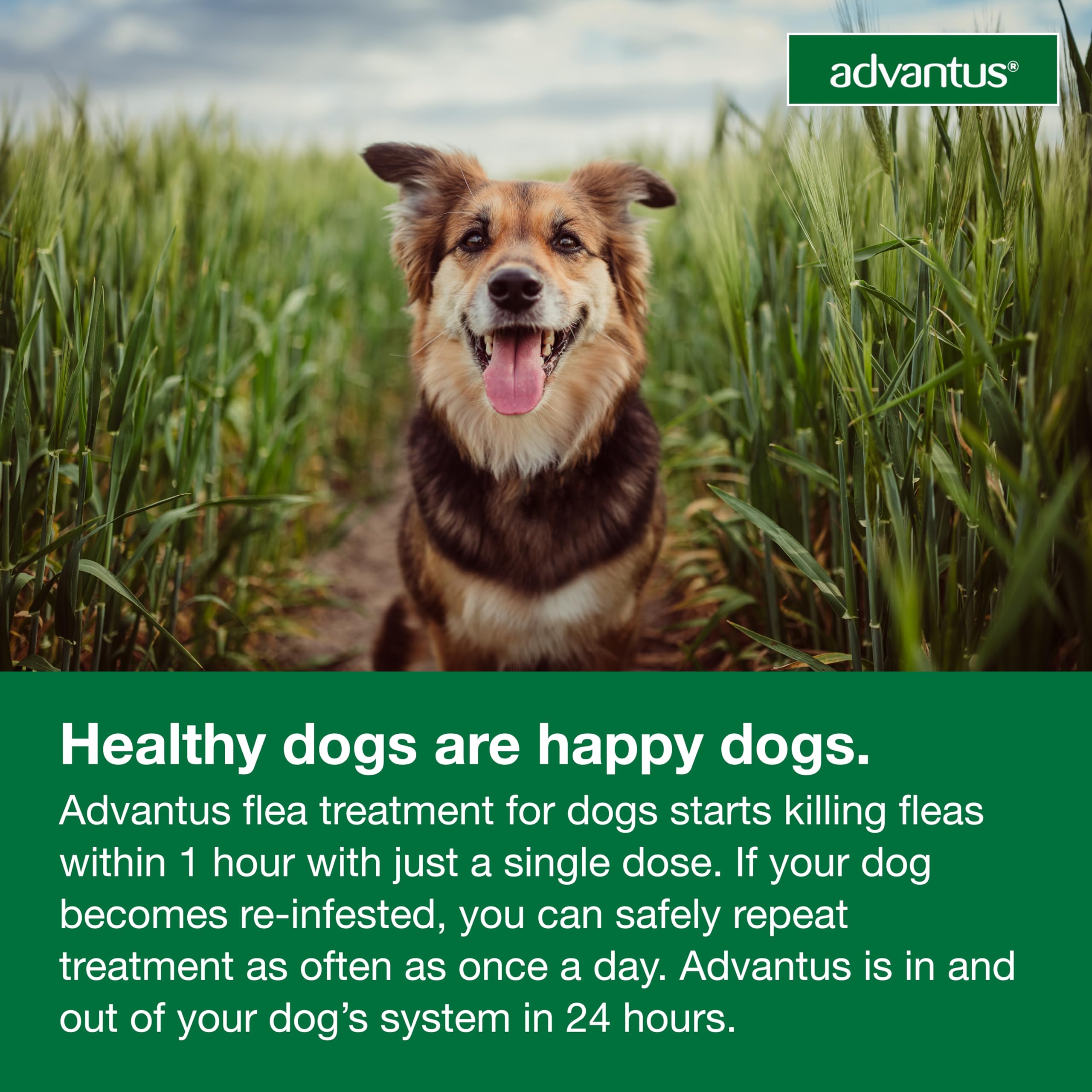 Advantus dose dispensed demonstrates one-dose treatment option.