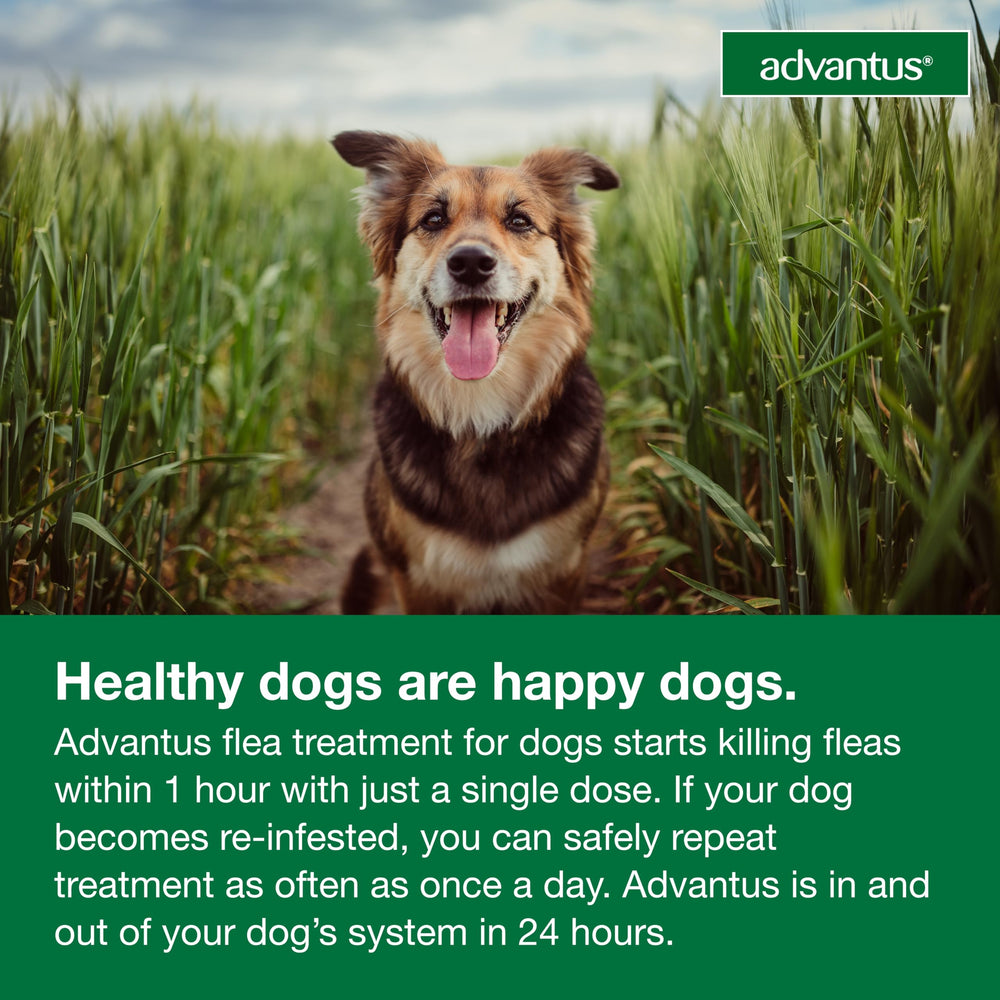 Advantus dose dispensed demonstrates one-dose treatment option.
