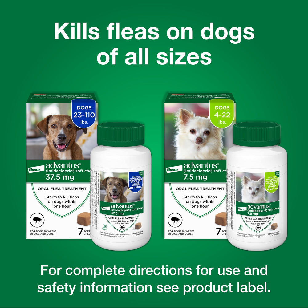 Advantus flea-killing action illustrates fleas killed after biting dogs.